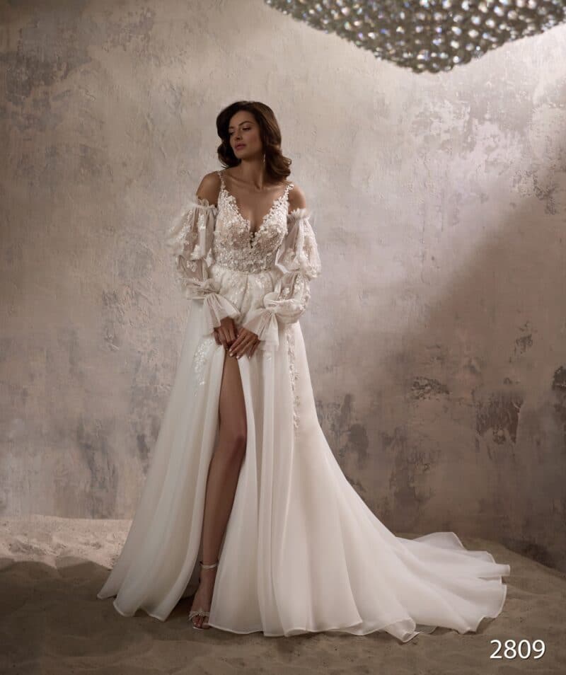 Detachable Long Sleeves A-Line Wedding Dress - WENDY